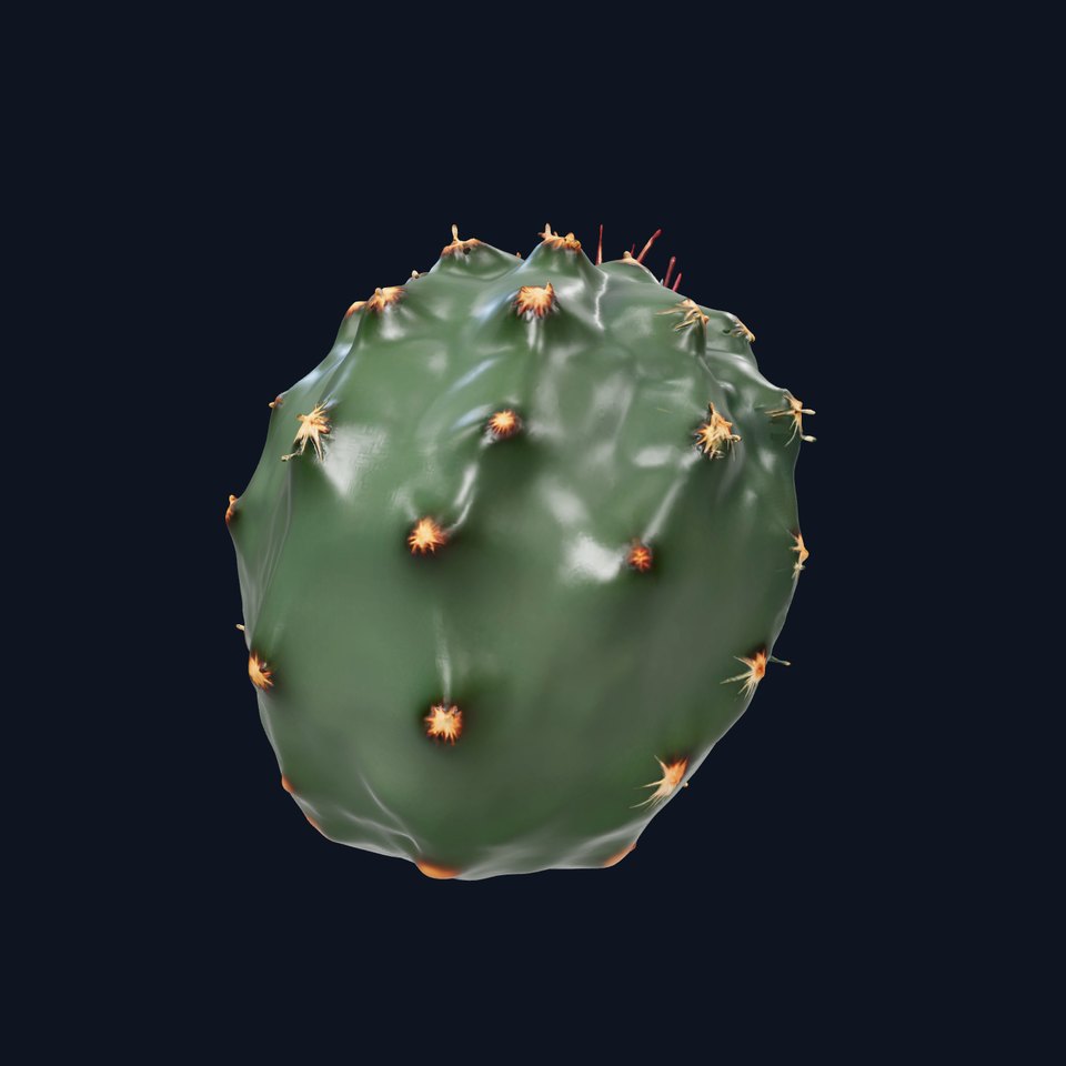Prickly Cactus Ball model pack